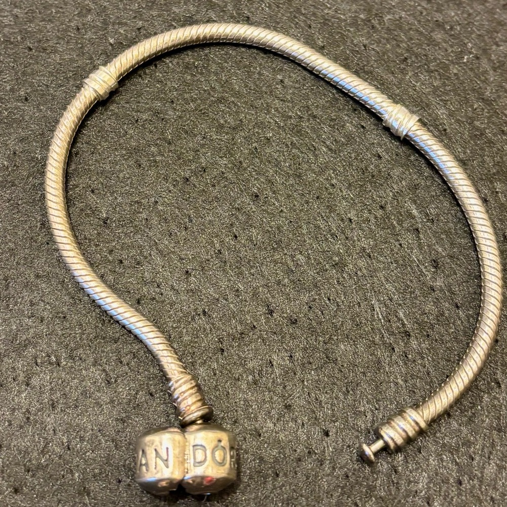 PANDORA 925 STERLING SILVER BRACELET 7" W/(10) PANDORA 925 MIXED CHARMS RETIRED - Picture 5 of 16